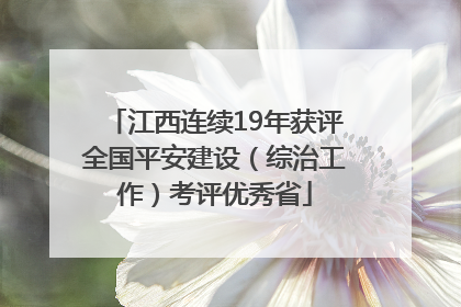 江西连续19年获评全国平安建设（综治工作）考评优秀省