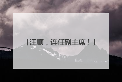 汪顺，连任副主席！