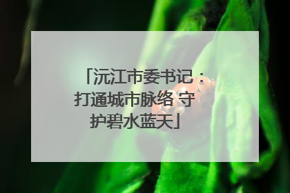 沅江市委书记：打通城市脉络 守护碧水蓝天