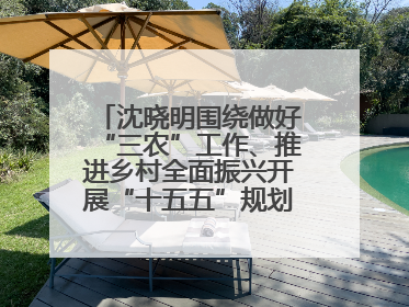 沈晓明围绕做好“三农”工作、推进乡村全面振兴开展“十五五”规划专题调研