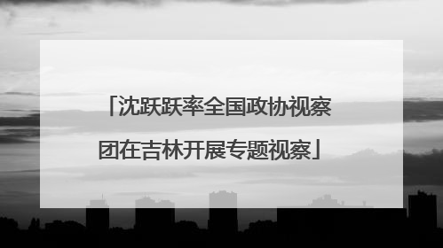 沈跃跃率全国政协视察团在吉林开展专题视察
