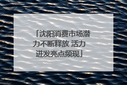 沈阳消费市场潜力不断释放 活力迸发亮点频现