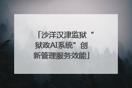 沙洋汉津监狱“狱政AI系统”创新管理服务效能
