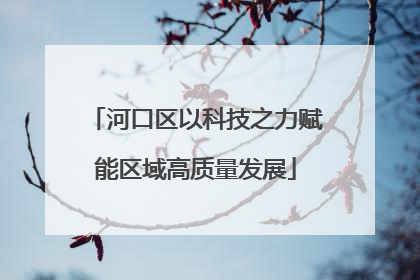 河口区以科技之力赋能区域高质量发展