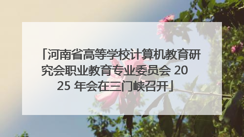 河南省高等学校计算机教育研究会职业教育专业委员会 2025 年会在三门峡召开