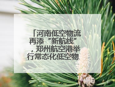 河南低空物流再添“新航线”，郑州航空港举行常态化低空物流试飞活动