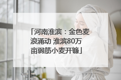 河南淮滨：金色麦浪涌动 淮滨80万亩弱筋小麦开镰