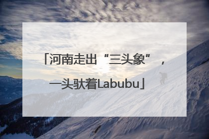 河南走出“三头象”，一头驮着Labubu