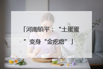 河南镇平：“土蛋蛋”变身“金疙瘩”