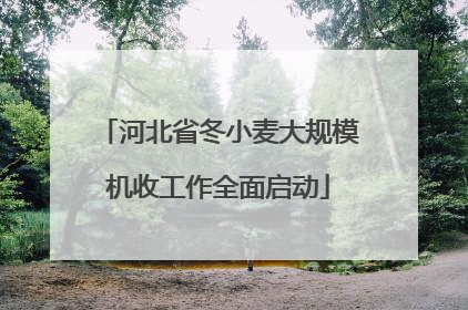 河北省冬小麦大规模机收工作全面启动