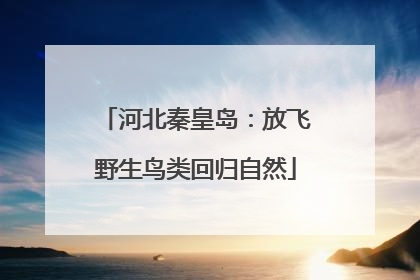 河北秦皇岛：放飞野生鸟类回归自然