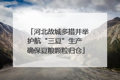 河北故城多措并举护航“三夏”生产 确保夏粮颗粒归仓