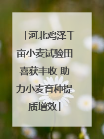 河北鸡泽千亩小麦试验田喜获丰收 助力小麦育种提质增效