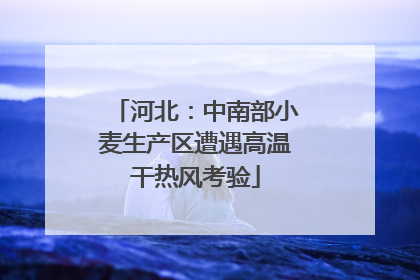 河北：中南部小麦生产区遭遇高温干热风考验