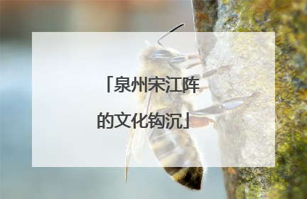 泉州宋江阵的文化钩沉