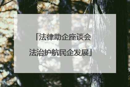 法律助企座谈会 法治护航民企发展