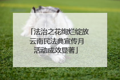 法治之花绚烂绽放 云南民法典宣传月活动成效显著