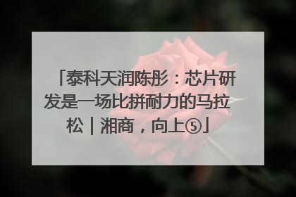 泰科天润陈彤：芯片研发是一场比拼耐力的马拉松｜湘商，向上⑤