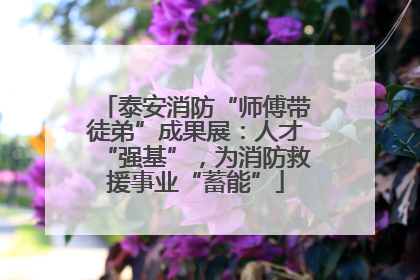 泰安消防“师傅带徒弟”成果展：人才“强基”，为消防救援事业“蓄能”