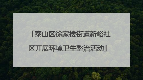 泰山区徐家楼街道新峪社区开展环境卫生整治活动