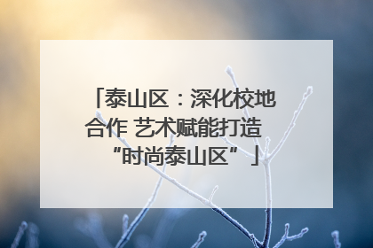泰山区：深化校地合作 艺术赋能打造“时尚泰山区”