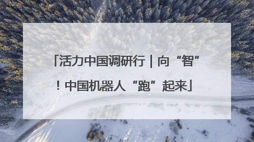 活力中国调研行｜向“智”！中国机器人“跑”起来