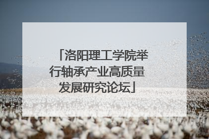 洛阳理工学院举行轴承产业高质量发展研究论坛