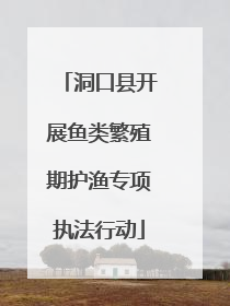 洞口县开展鱼类繁殖期护渔专项执法行动