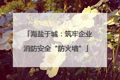 海盐于城：筑牢企业消防安全“防火墙”