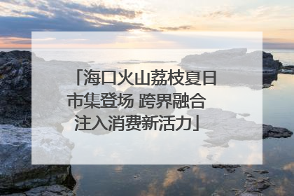 海口火山荔枝夏日市集登场 跨界融合注入消费新活力