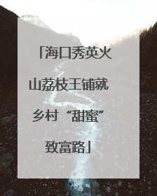 海口秀英火山荔枝王铺就乡村“甜蜜”致富路