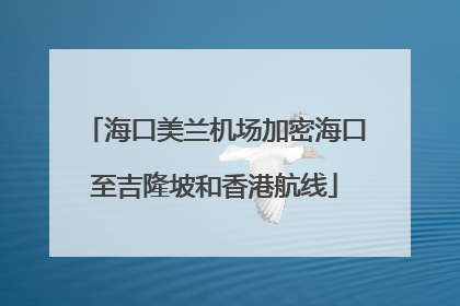 海口美兰机场加密海口至吉隆坡和香港航线
