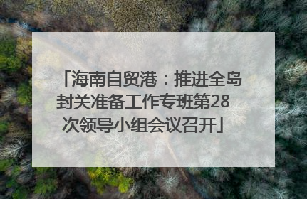 海南自贸港：推进全岛封关准备工作专班第28次领导小组会议召开