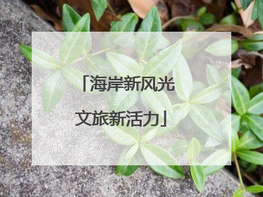海岸新风光 文旅新活力