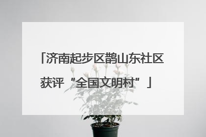 济南起步区鹊山东社区获评“全国文明村”