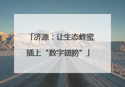 济源：让生态蜂蜜插上“数字翅膀”