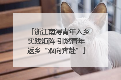 浙江南浔青年入乡实践矩阵 引燃青年返乡“双向奔赴”