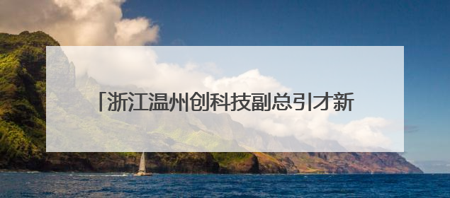 浙江温州创科技副总引才新机制 塑民企发展新优势
