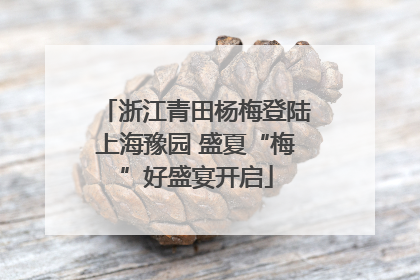浙江青田杨梅登陆上海豫园 盛夏“梅”好盛宴开启