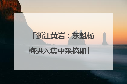 浙江黄岩：东魁杨梅进入集中采摘期