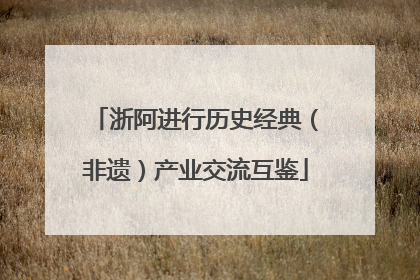 浙阿进行历史经典（非遗）产业交流互鉴