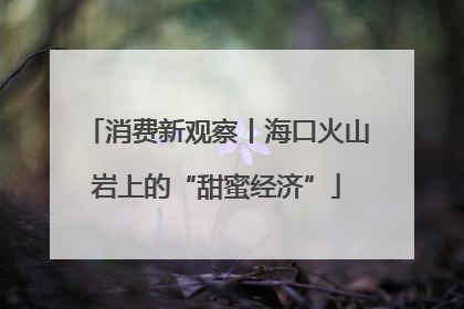 消费新观察丨海口火山岩上的“甜蜜经济”