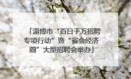 淄博市“百日千万招聘专项行动”暨“省会经济圈”大型招聘会举办