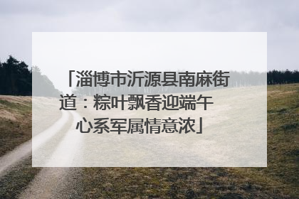 淄博市沂源县南麻街道：粽叶飘香迎端午 心系军属情意浓