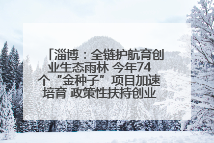 淄博：全链护航育创业生态雨林 今年74个“金种子”项目加速培育 政策性扶持创业9754人