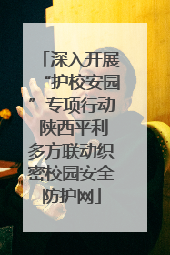 深入开展“护校安园”专项行动 陕西平利多方联动织密校园安全防护网