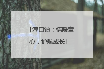 淳口镇：情暖童心，护航成长
