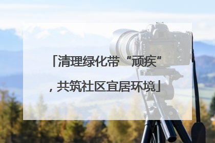 清理绿化带“顽疾”，共筑社区宜居环境