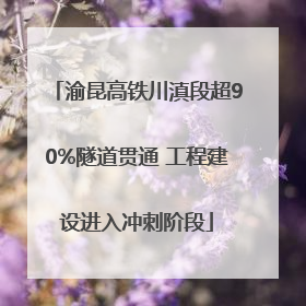 渝昆高铁川滇段超90%隧道贯通 工程建设进入冲刺阶段