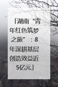 湖南“青年红色筑梦之旅”：8年深耕基层创造效益近5亿元